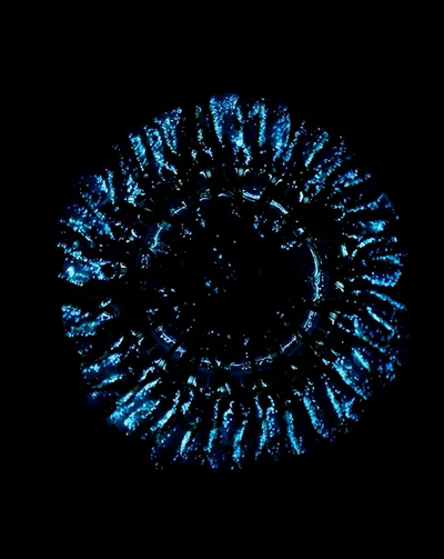 Live & Animated Apple Watch face — Bioluminescent Bloom by Watch Lux