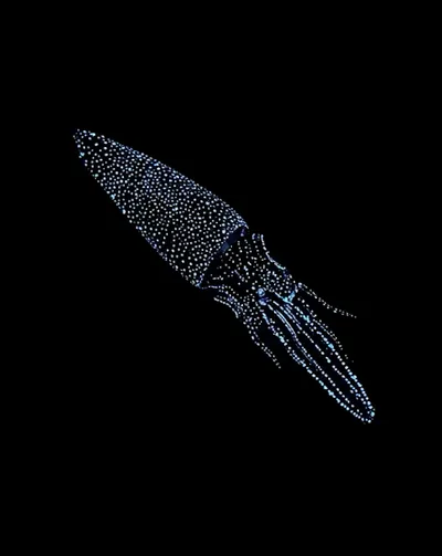 Deep Sea collection Apple Watch face — Bioluminescent Squid by Watch Lux