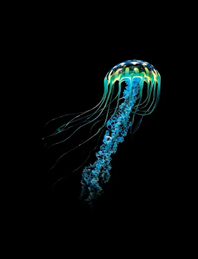 Live & Animated Apple Watch face — Oceanic Bloomer by Watch Lux