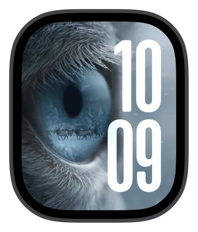 Nature Apple Watch face — Winter Gaze by Watch Lux
